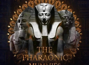 نقل المومياوات الملكية المصرية حدث أسطورى هز العالم